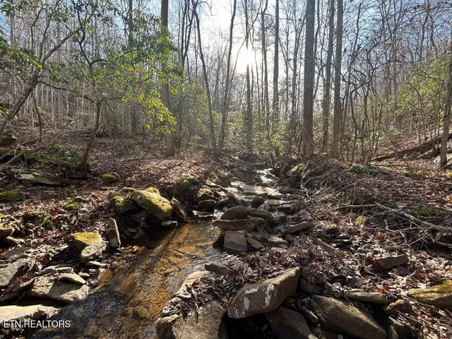 $150,000 | 0 Deerhead Road, Dunlap, TN 37327