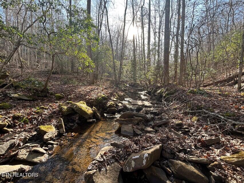 0 Deerhead Road Dunlap, TN 37327 - Photo 24 of 28 24