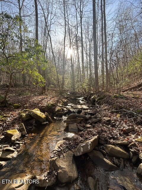 0 Deerhead Road Dunlap, TN 37327 - Photo 25 of 28 25