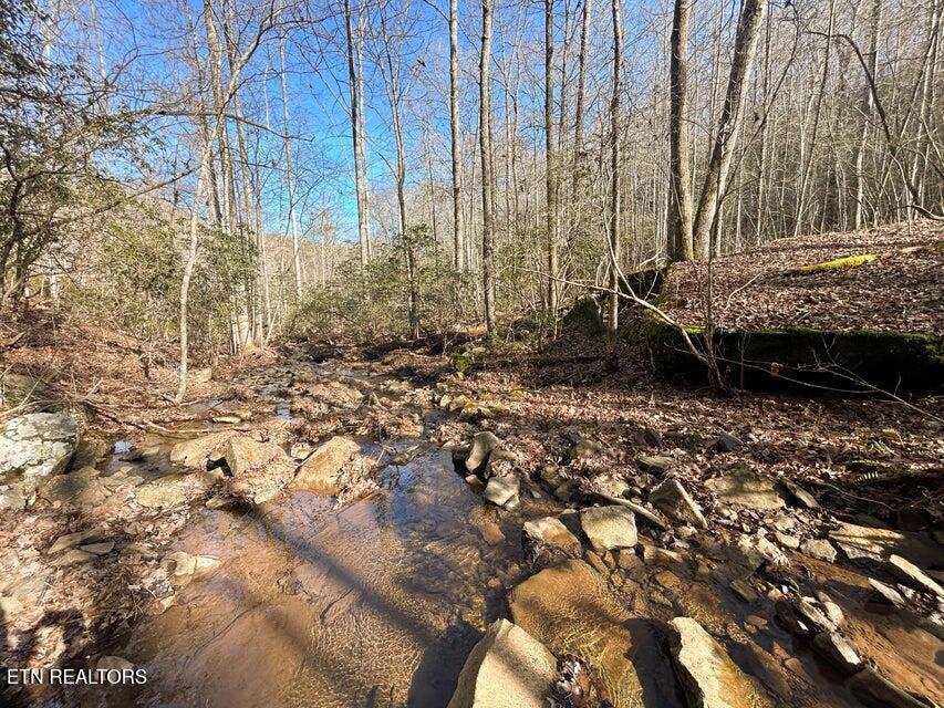 0 Deerhead Road Dunlap, TN 37327 - Photo 26 of 28 26