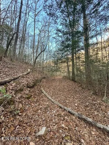 $150,000 | 0 Deerhead Road, Dunlap, TN 37327