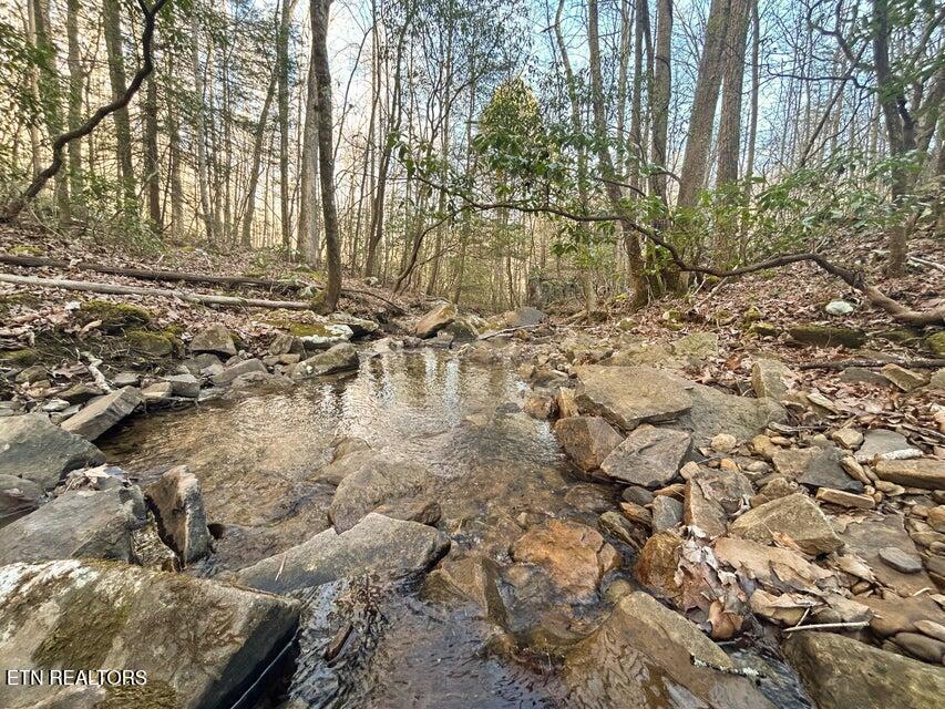 0 Deerhead Road Dunlap, TN 37327 - Photo 3 of 28 3