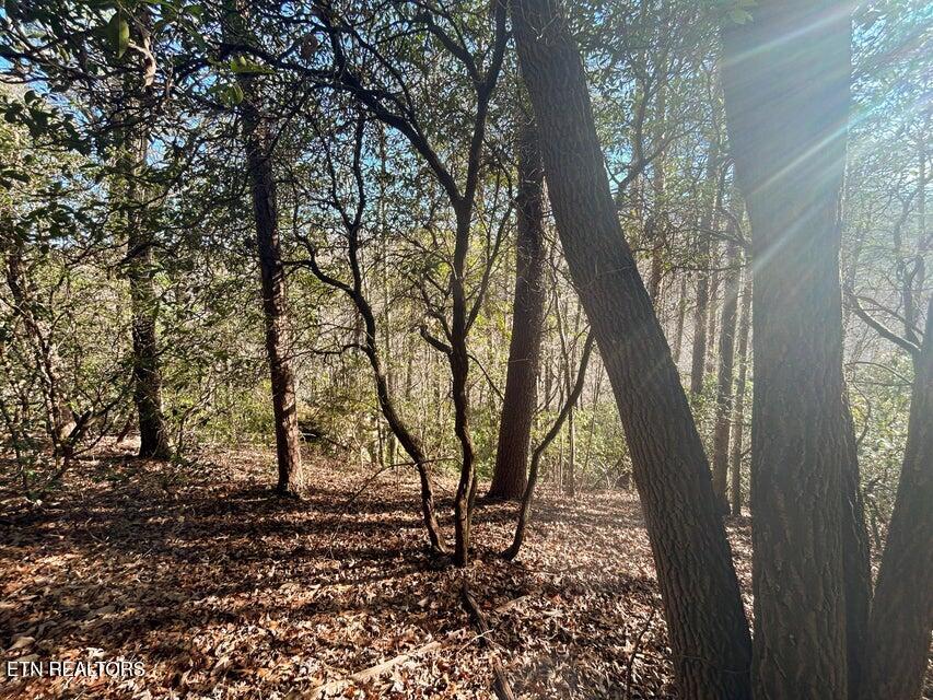 0 Deerhead Road Dunlap, TN 37327 - Photo 6 of 28 6