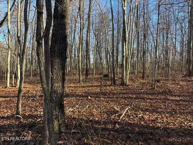 $150,000 | 0 Deerhead Road, Dunlap, TN 37327