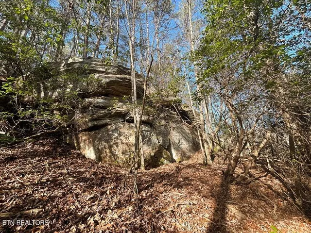 $150,000 | 0 Deerhead Road, Dunlap, TN 37327