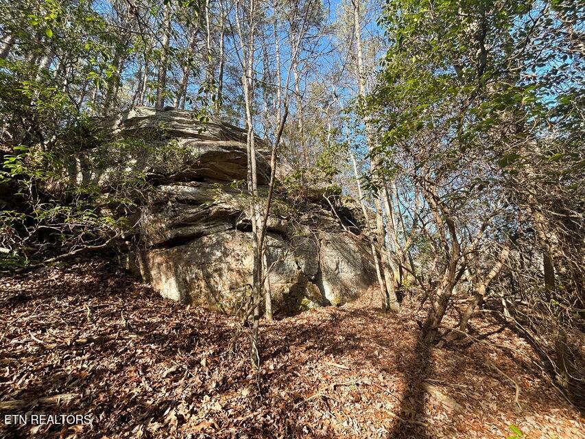 0 Deerhead Road Dunlap, TN 37327 - Photo 10 of 28 10