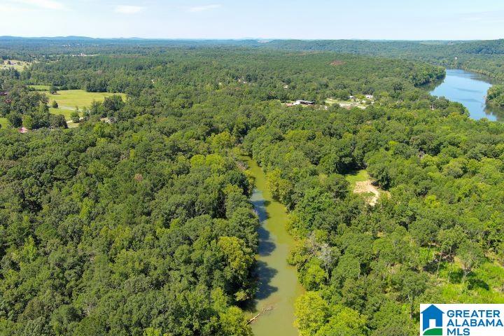 209 Harts Ferry Road, Unit 3 Ohatchee, AL 36271 - Photo 23 of 24