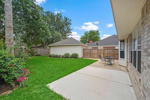 a view of a backyard with plants and large tree