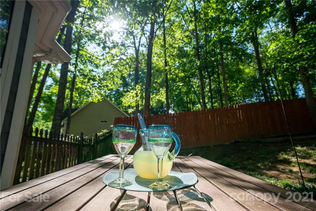7201 Catawba Springs Road Denver, NC 28037 - Photo 19 of 28 Gallery Image 19