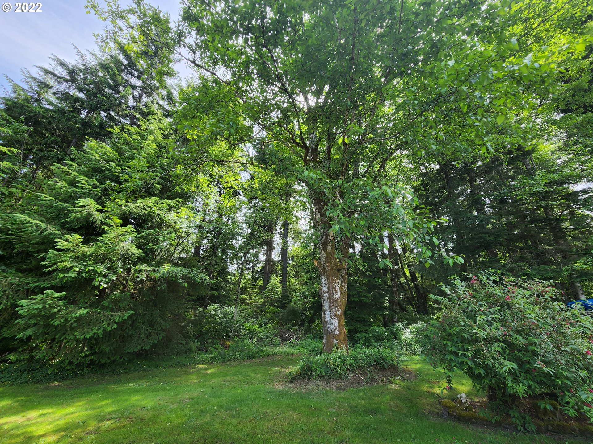 338 JE Johnson Road Kalama, WA 98625 - Photo 10 of 22 Gallery Image 10