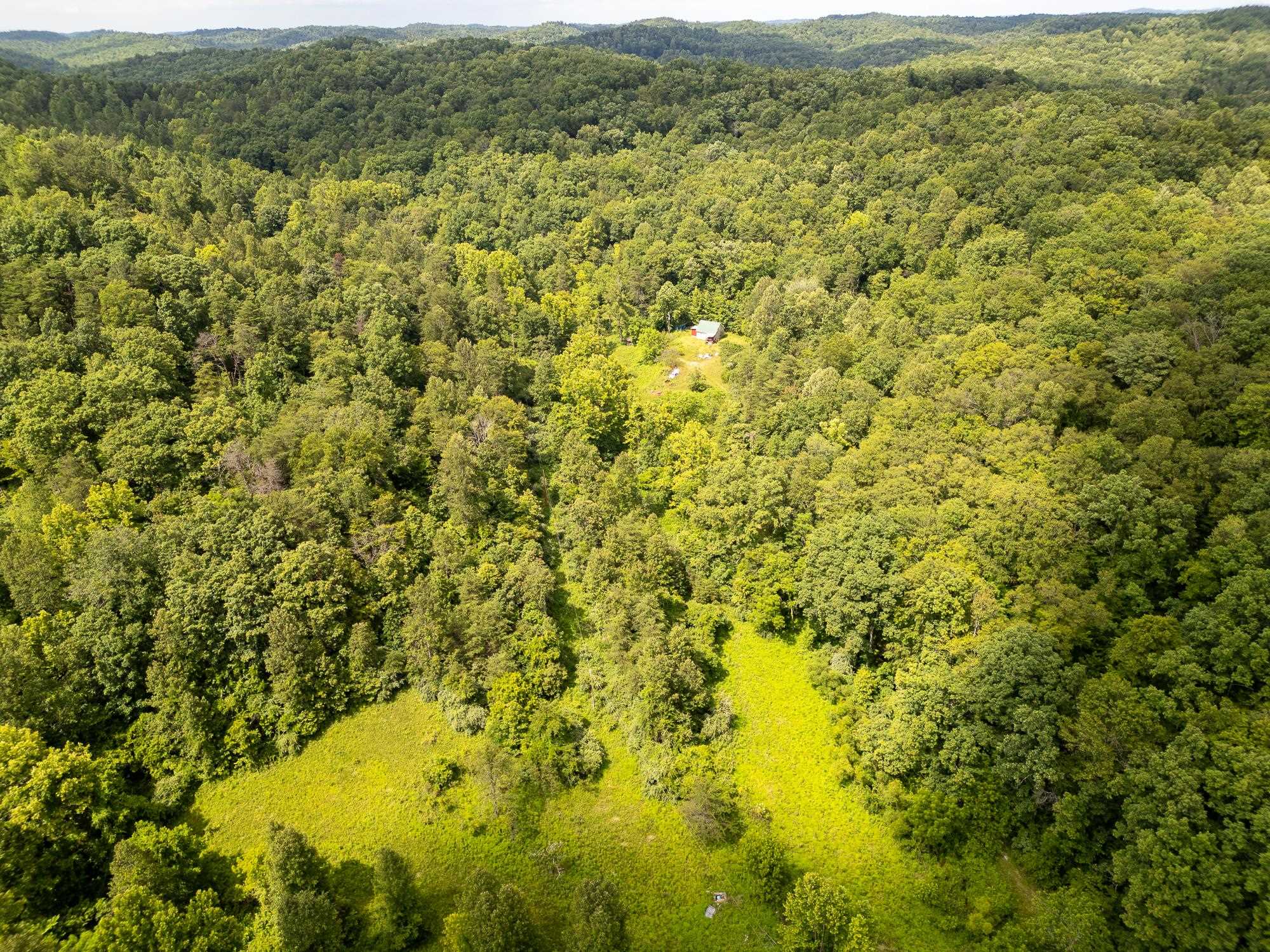 517 Lake Road Fort Gay, WV 25514 - Photo 7 of 21 Gallery Image 7
