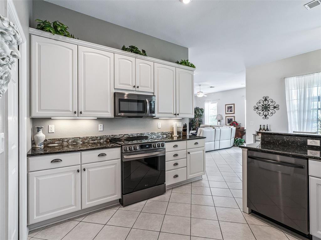 12421 Southeast 174th Loop Summerfield, FL 34491 - Photo 24 of 66