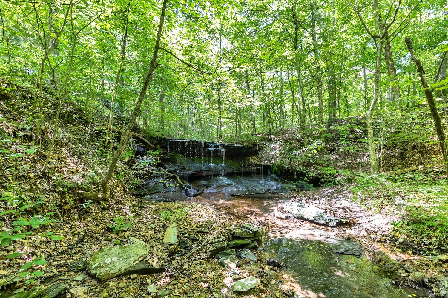 5185 Old Harding Road Fairview, TN 37062 - Photo 31 of 42