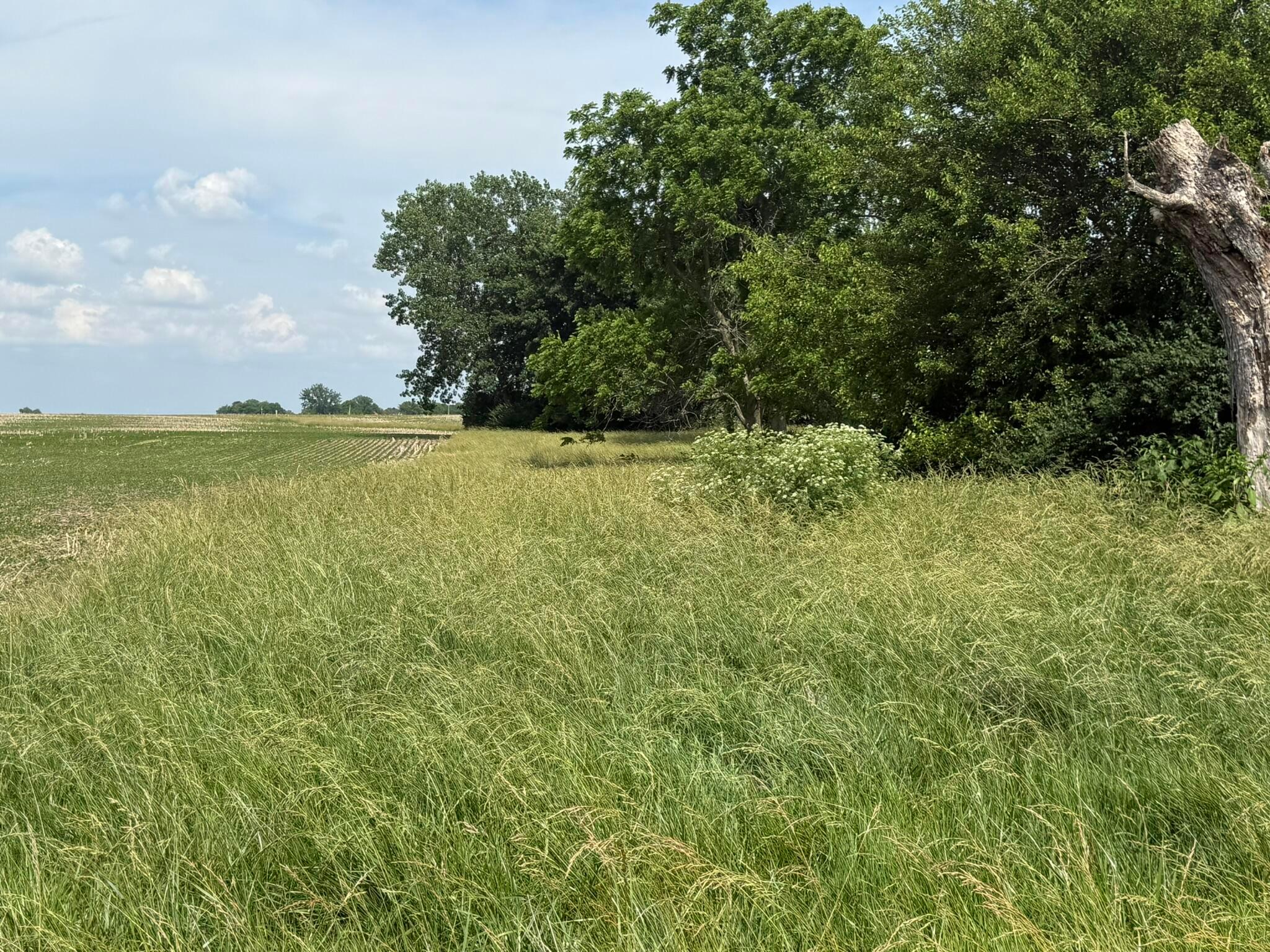 498 Junk Road Clarksburg, OH 43115 - Photo 1 of 14