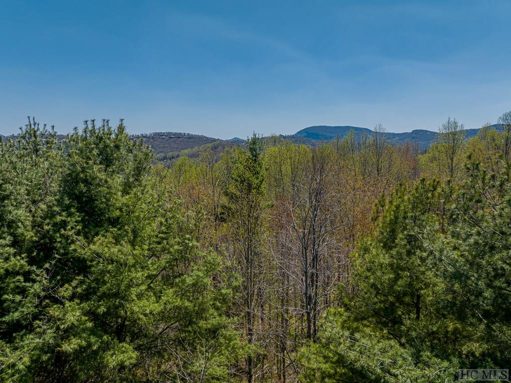 Lot 20 Trillium Ridge Road Sapphire, NC 28774 - Photo 6 of 17 Gallery Image 6