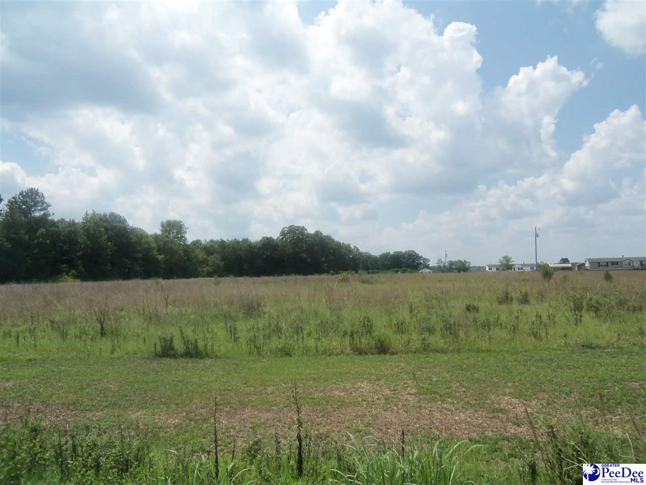 Lot # 19 Jeffords Road Lamar, SC 29069 - Photo 1 of 1 Gallery Image 1