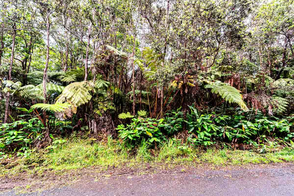 118 Rd C Volcano, HI 96785 - Photo 1 of 17 Gallery Image 1