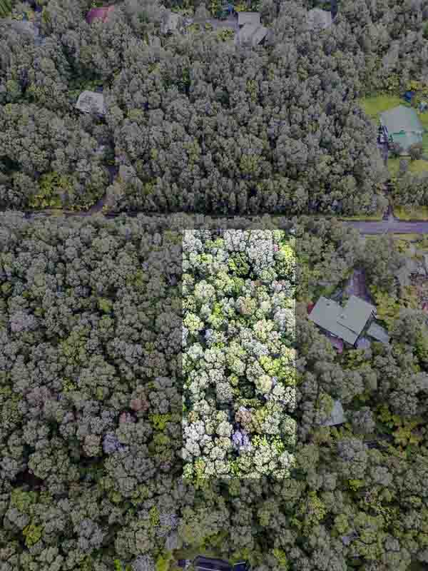 118 Rd C Volcano, HI 96785 - Photo 17 of 17 Gallery Image 17