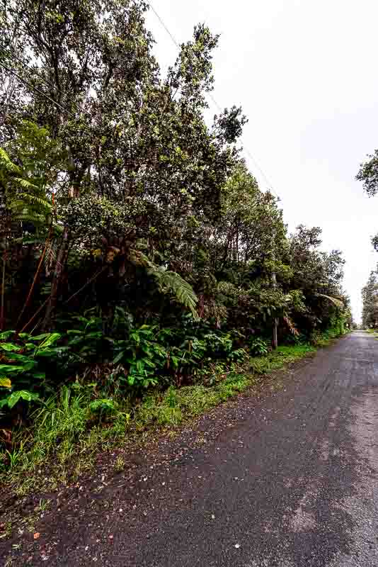 118 Rd C Volcano, HI 96785 - Photo 5 of 17 Gallery Image 5