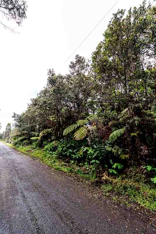 118 Rd C Volcano, HI 96785 - Photo 6 of 17 Gallery Image 6