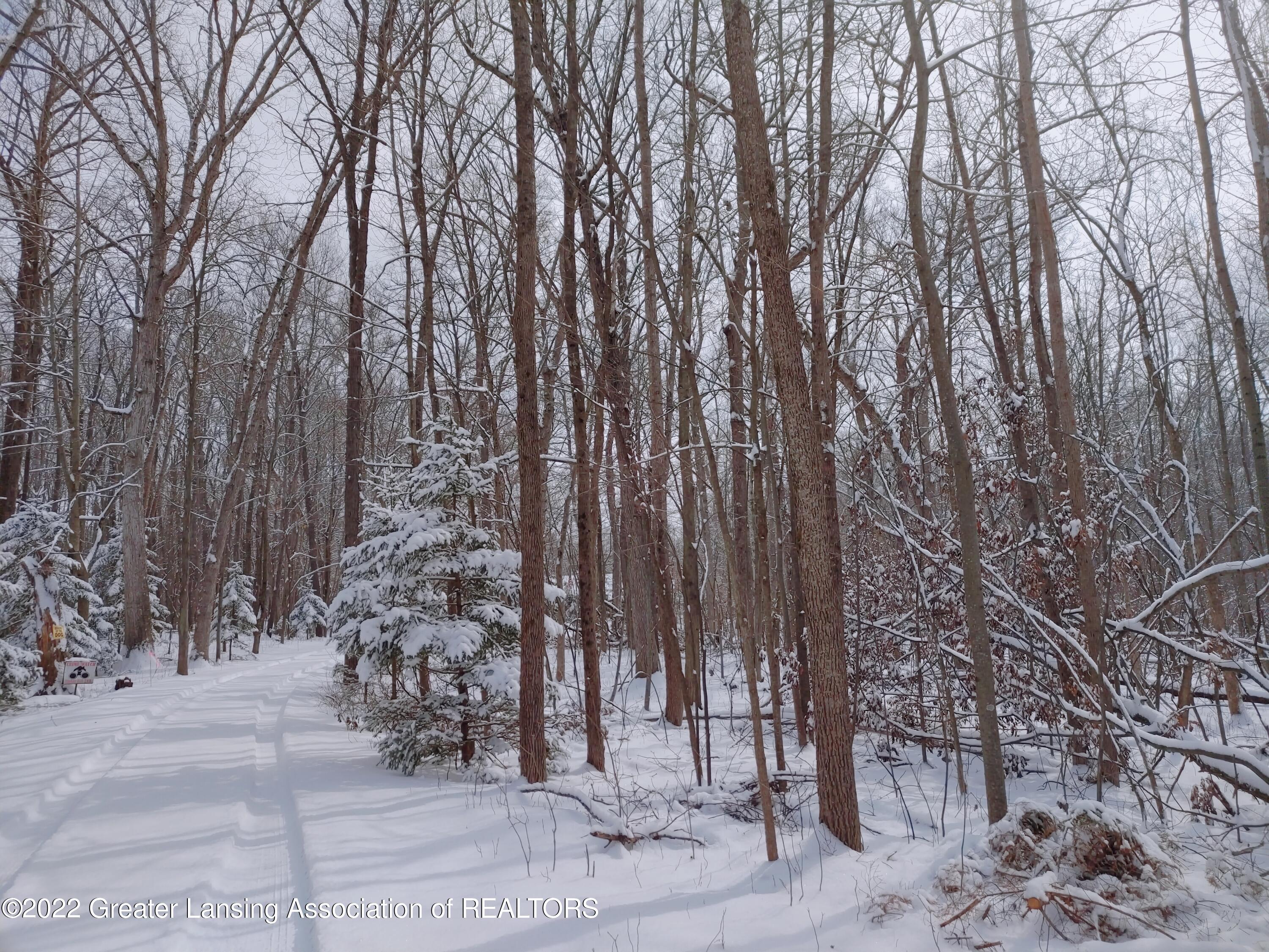 4515 South Williams Road Stockbridge, MI 49285 - Photo 55 of 62 Welcome!