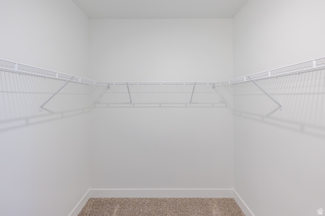 4727 South 690th West, Unit W201 Mapleton, UT 84664 - Photo 8 of 15 White wire shelving system, light-colored carpeting, white wall paint