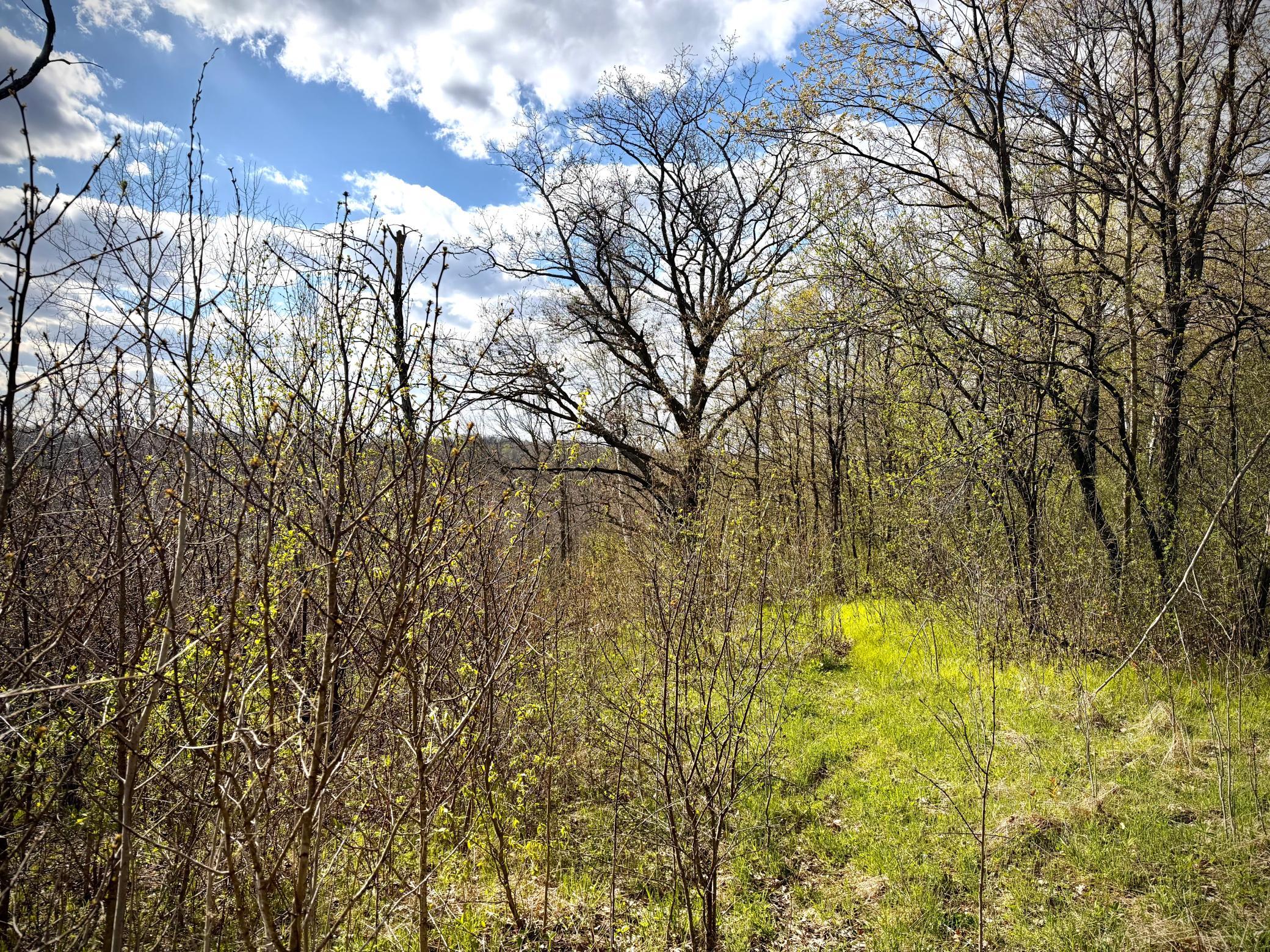 Tbd County Line Avenue Clear Lake, WI 54005 - Photo 1 of 12