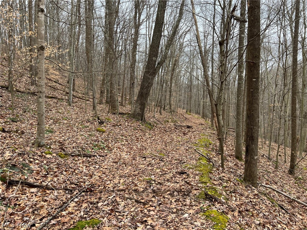 2 Barnes Run Road Mount Zion, WV 26151 - Photo 7 of 12