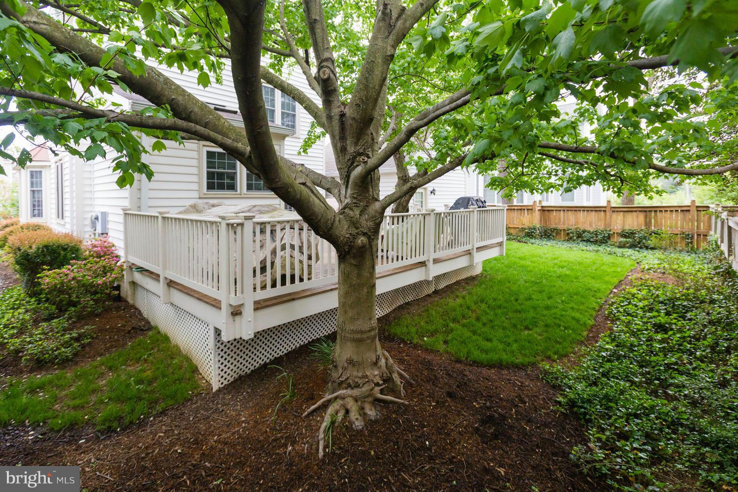 6524 Summerton Way Springfield, VA 22150 - Photo 4 of 30 Exterior (Rear)