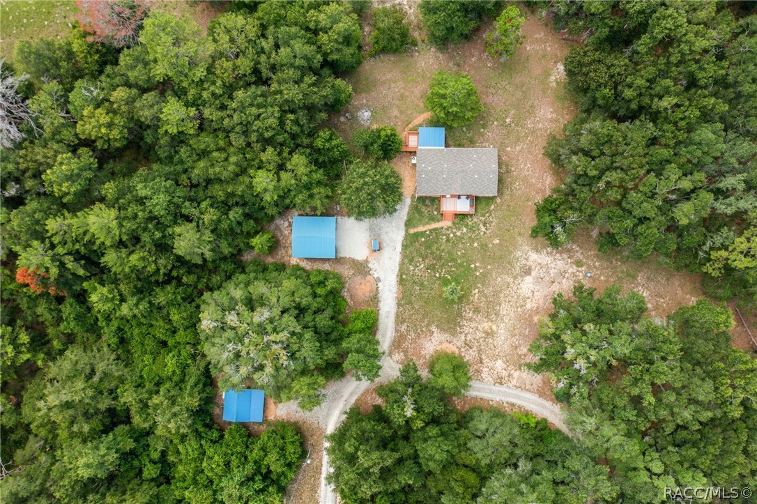 810 North Obrien Point Lecanto, FL 34461 - Photo 54 of 54
