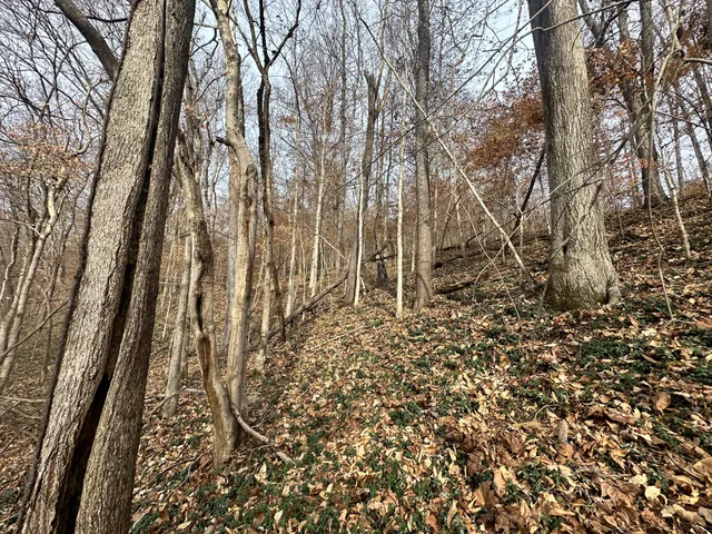 a view of outdoor space