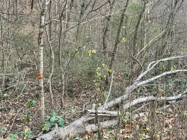 $74,900 | 210 Trotter Road, Waverly, TN 37185