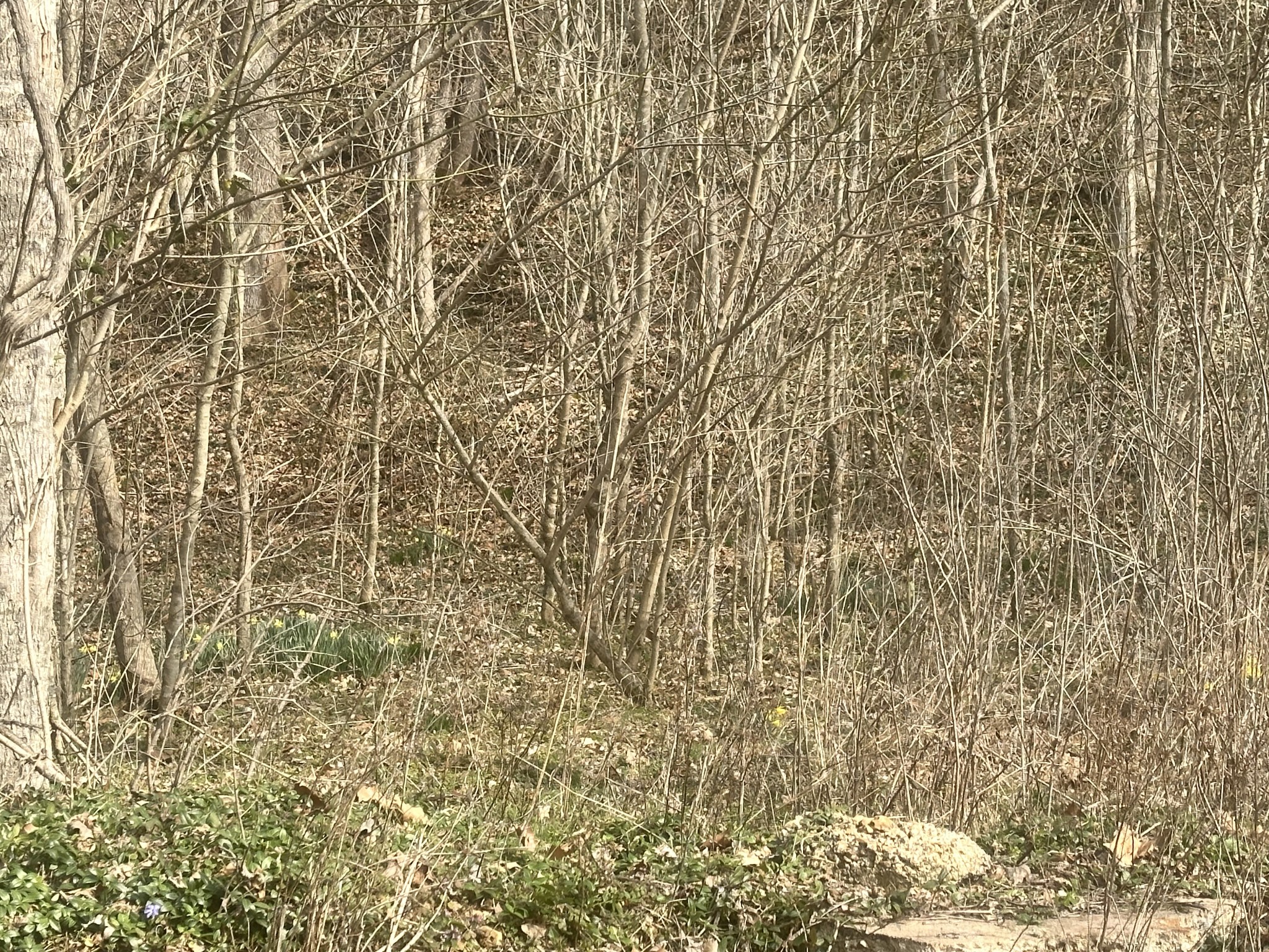 210 Trotter Road Waverly, TN 37185 - Photo 25 of 29 Gallery Image 25