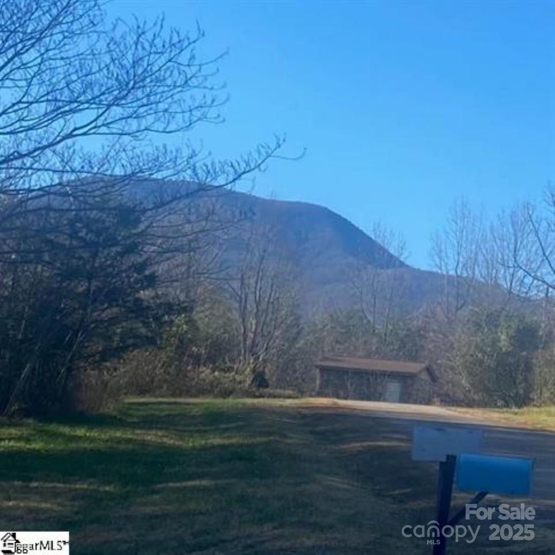 0 Lockhart Circle Landrum, SC 29356 - Photo 6 of 6
