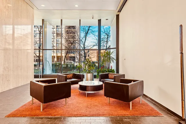 a living room with furniture potted plant and a window
