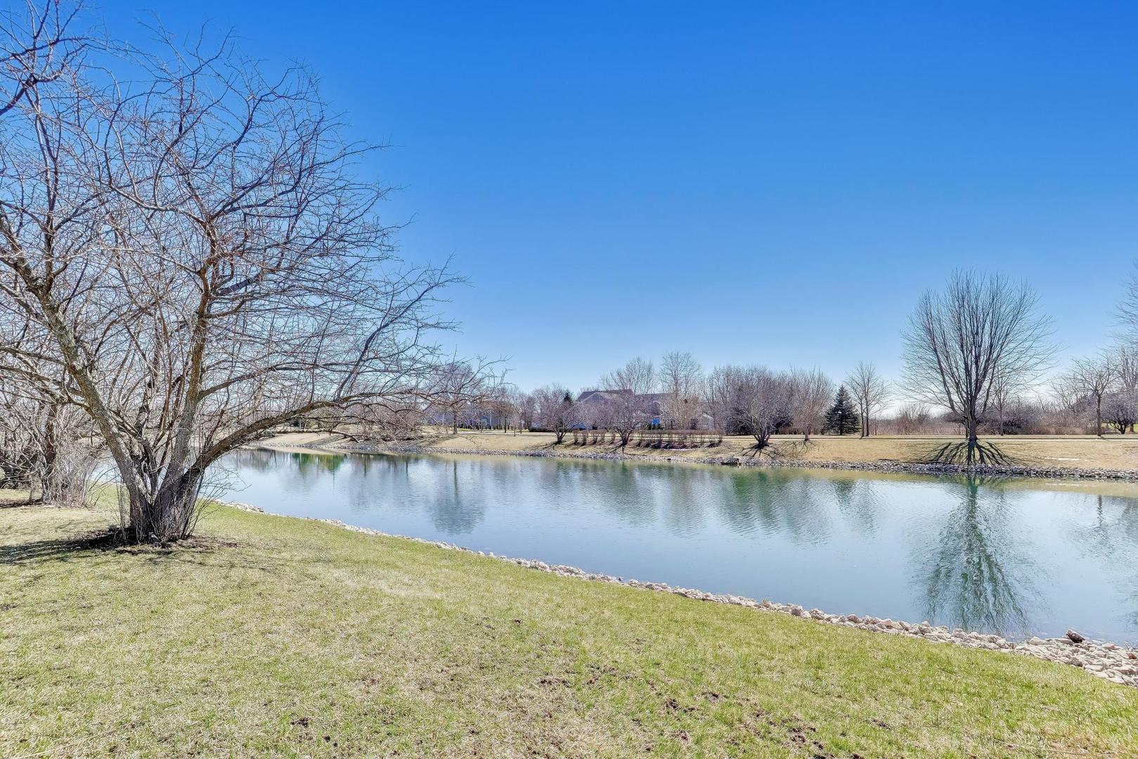 343 Copper Springs Lane Elgin, IL 60124 - Photo 39 of 50 a backyard of a house with lake view and trees
