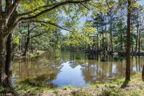 $1,670,000 | 3702 County Road 151, Bedias, TX 77831
