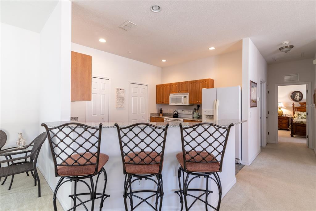 21008 Sunpoint Way, Unit 203 Lutz, FL 33558 - Photo 15 of 34