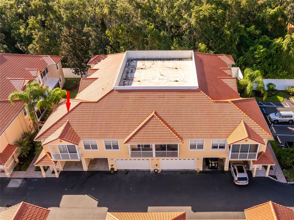 21008 Sunpoint Way, Unit 203 Lutz, FL 33558 - Photo 3 of 34