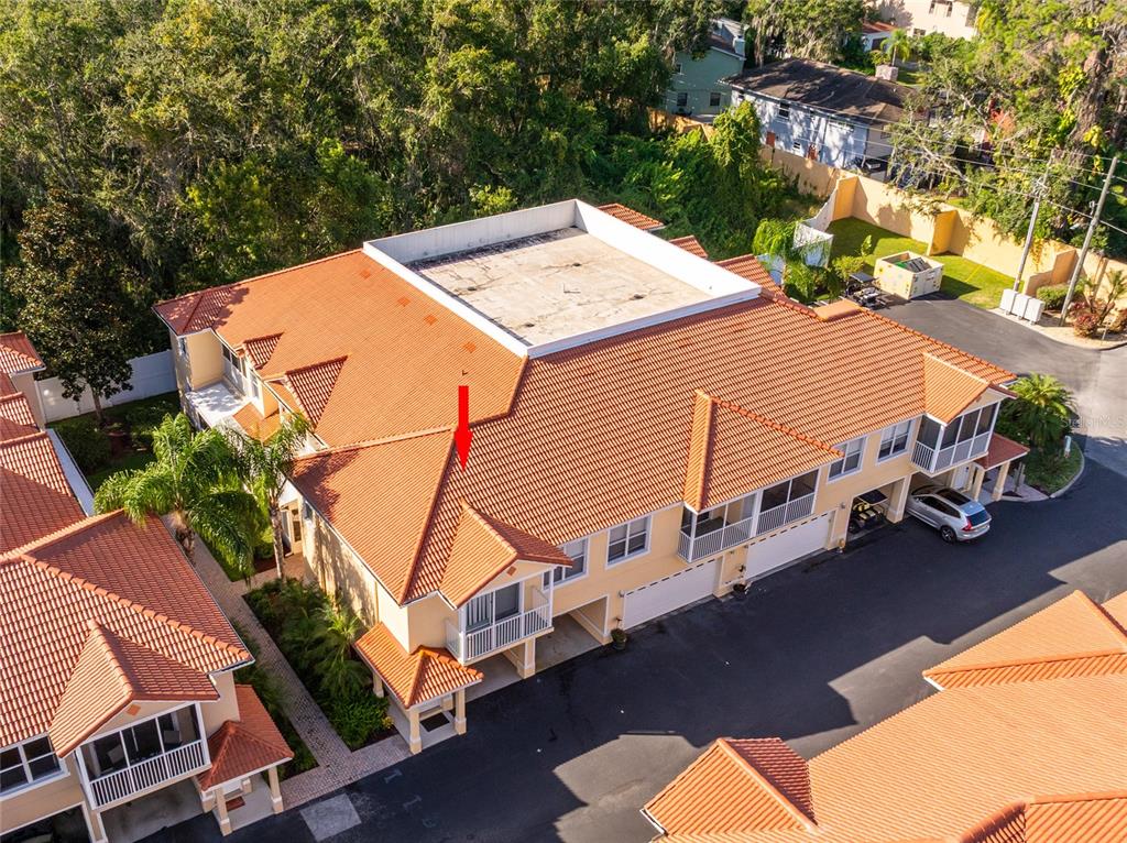 21008 Sunpoint Way, Unit 203 Lutz, FL 33558 - Photo 4 of 34