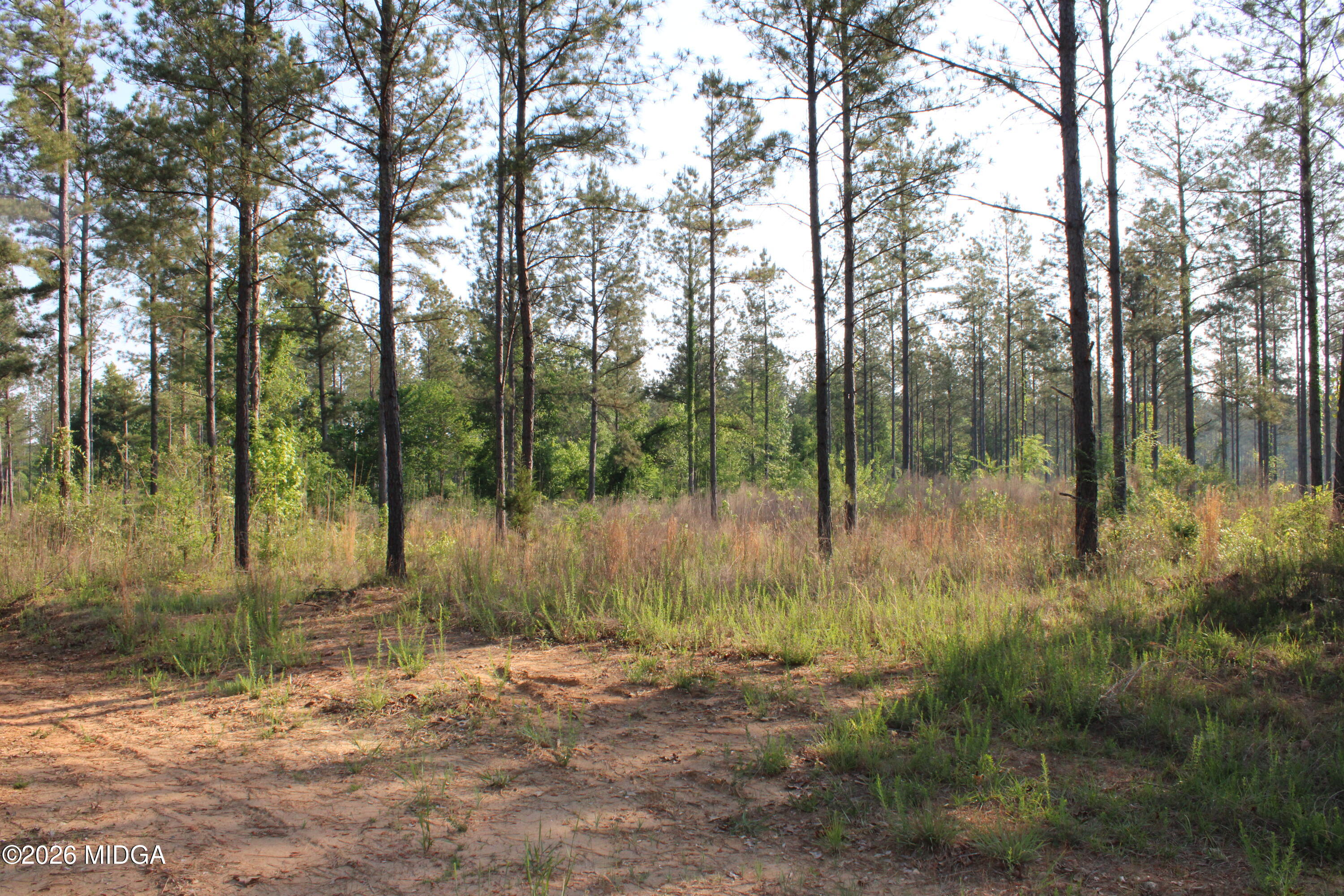 0 Watson Road East, Unit 7 Forsyth, GA 31029 - Photo 2 of 10 IMG_0781