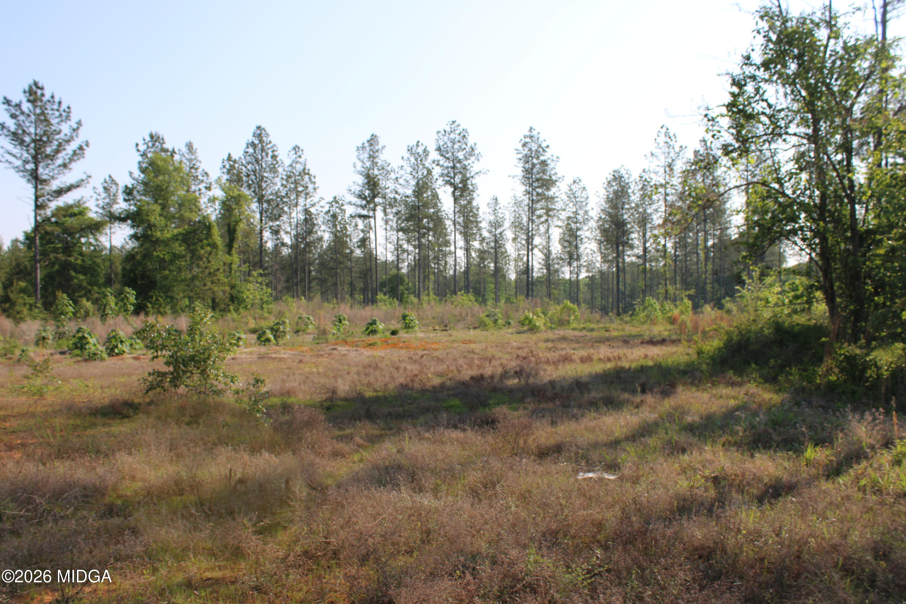 0 Watson Road East, Unit 7 Forsyth, GA 31029 - Photo 4 of 10 IMG_0792
