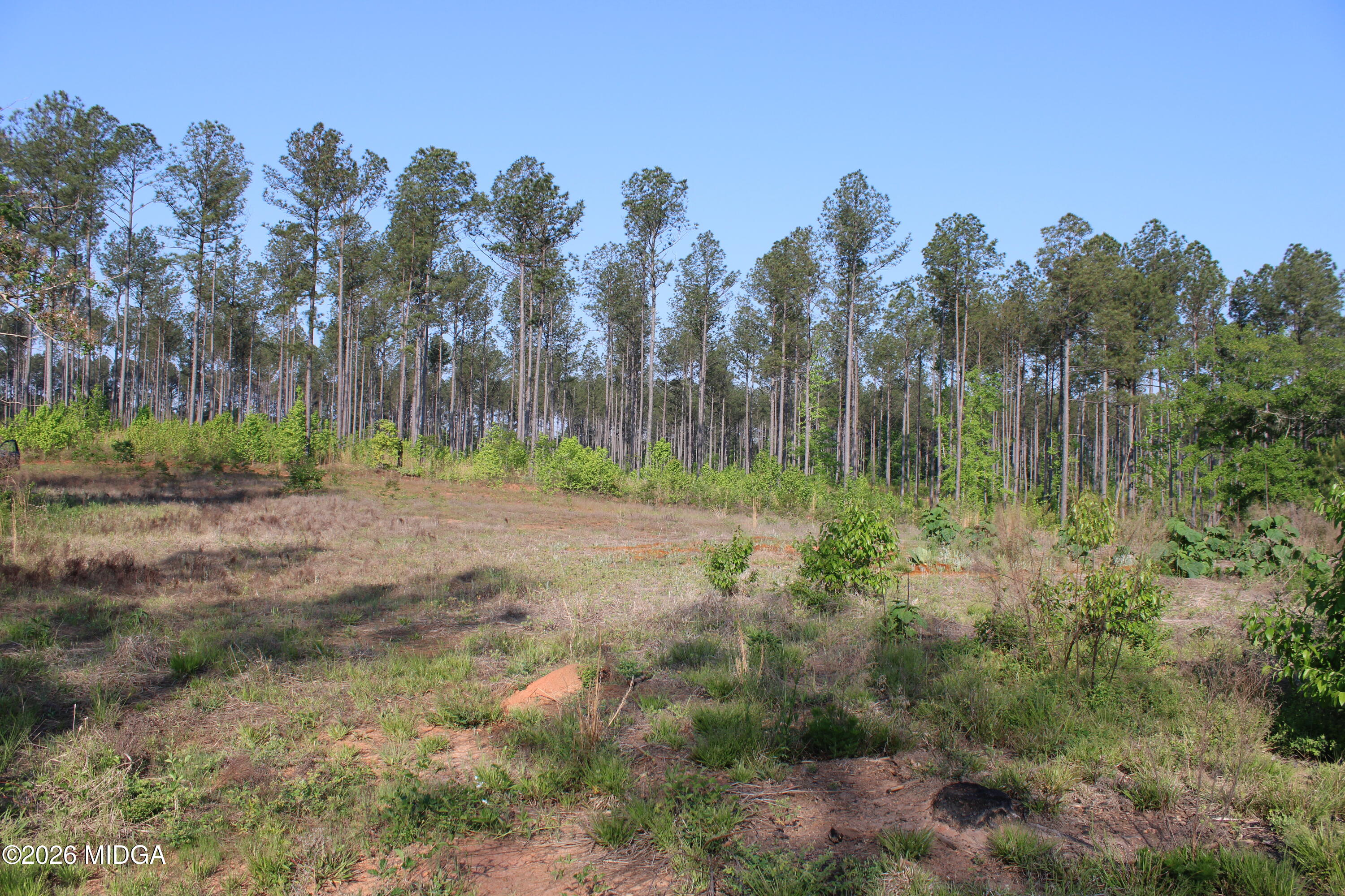 0 Watson Road East, Unit 7 Forsyth, GA 31029 - Photo 5 of 10 IMG_0795