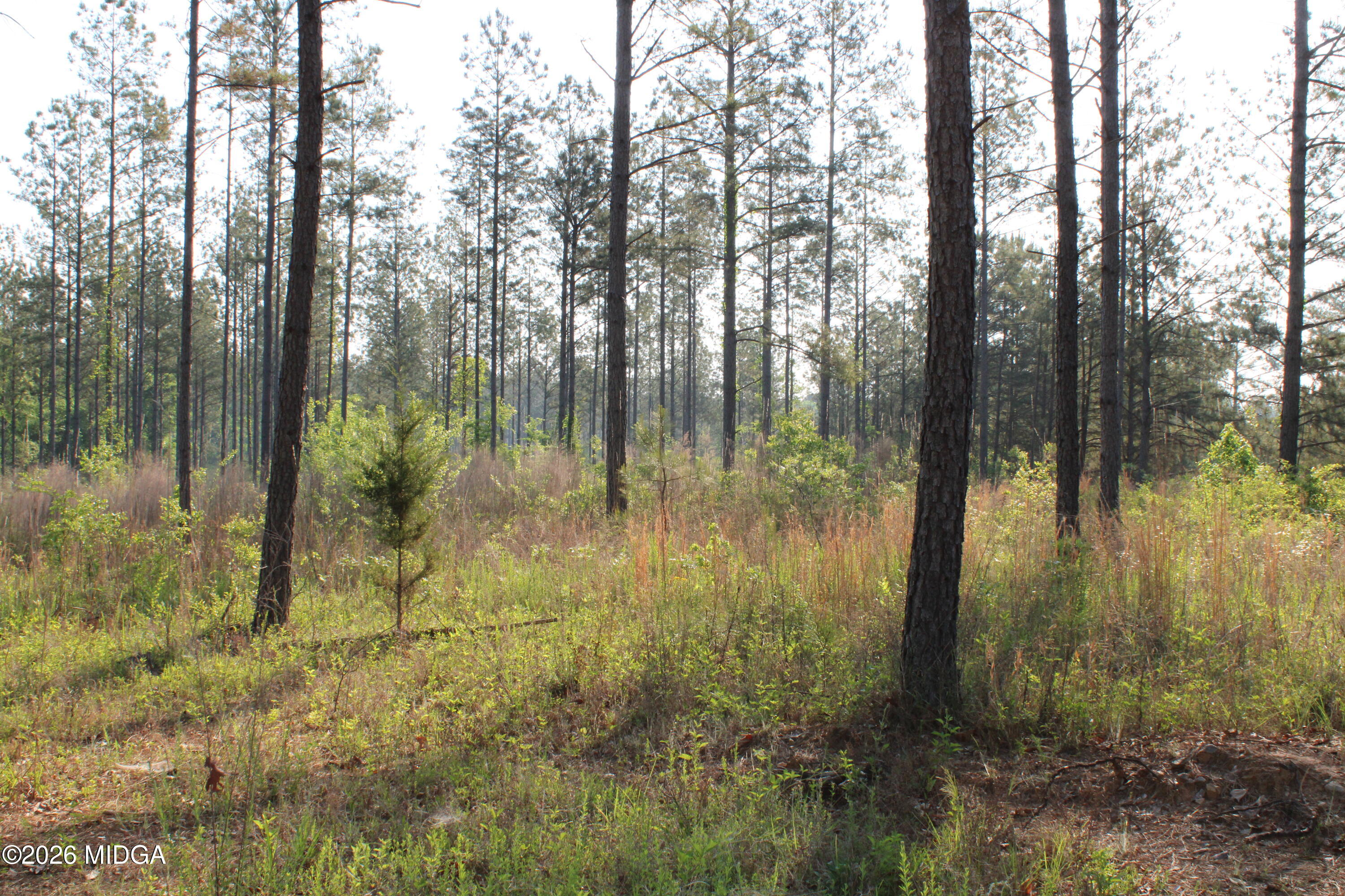0 Watson Road East, Unit 7 Forsyth, GA 31029 - Photo 6 of 10 IMG_0786