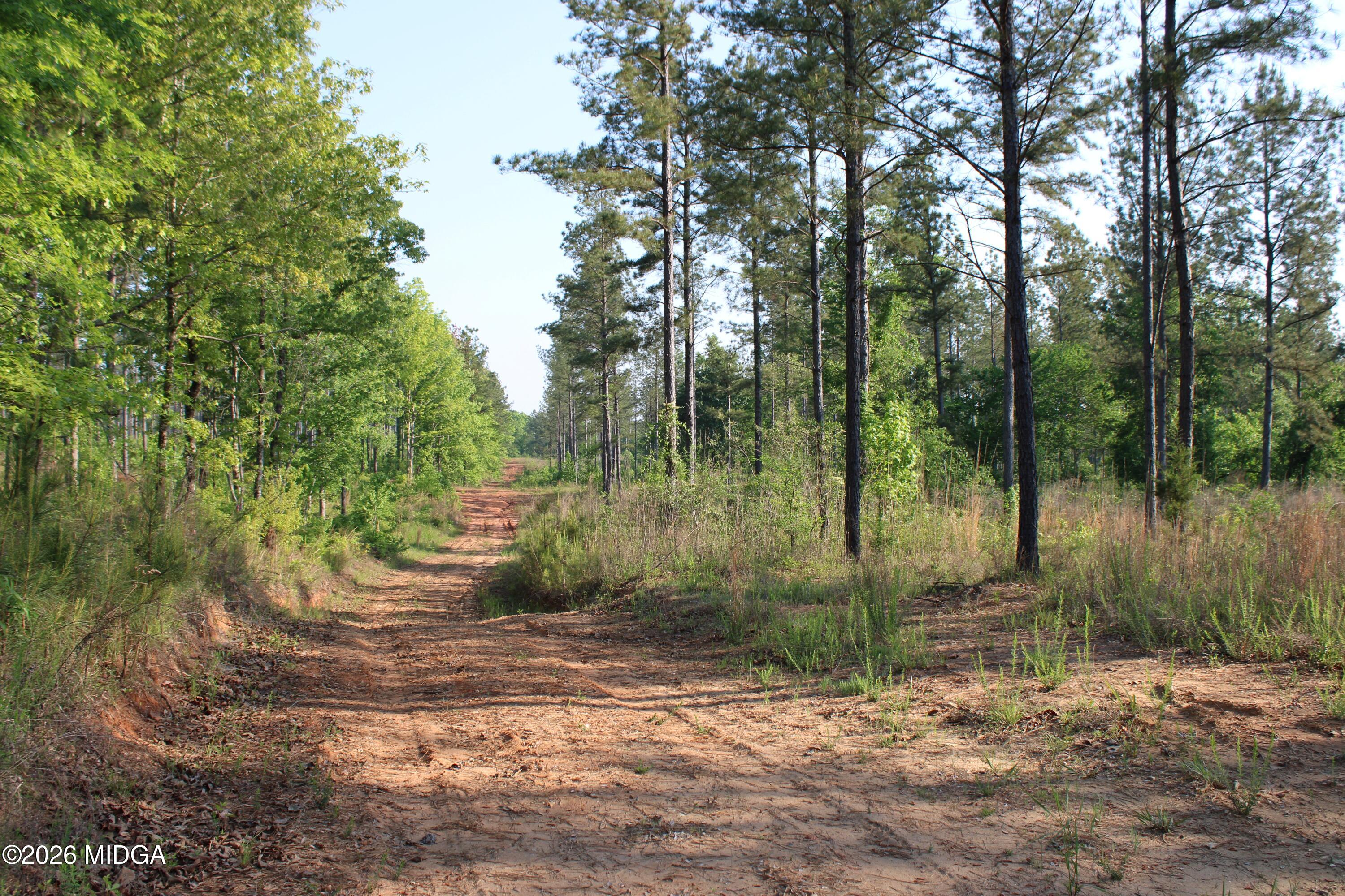 0 Watson Road East, Unit 7 Forsyth, GA 31029 - Photo 8 of 10 IMG_0782