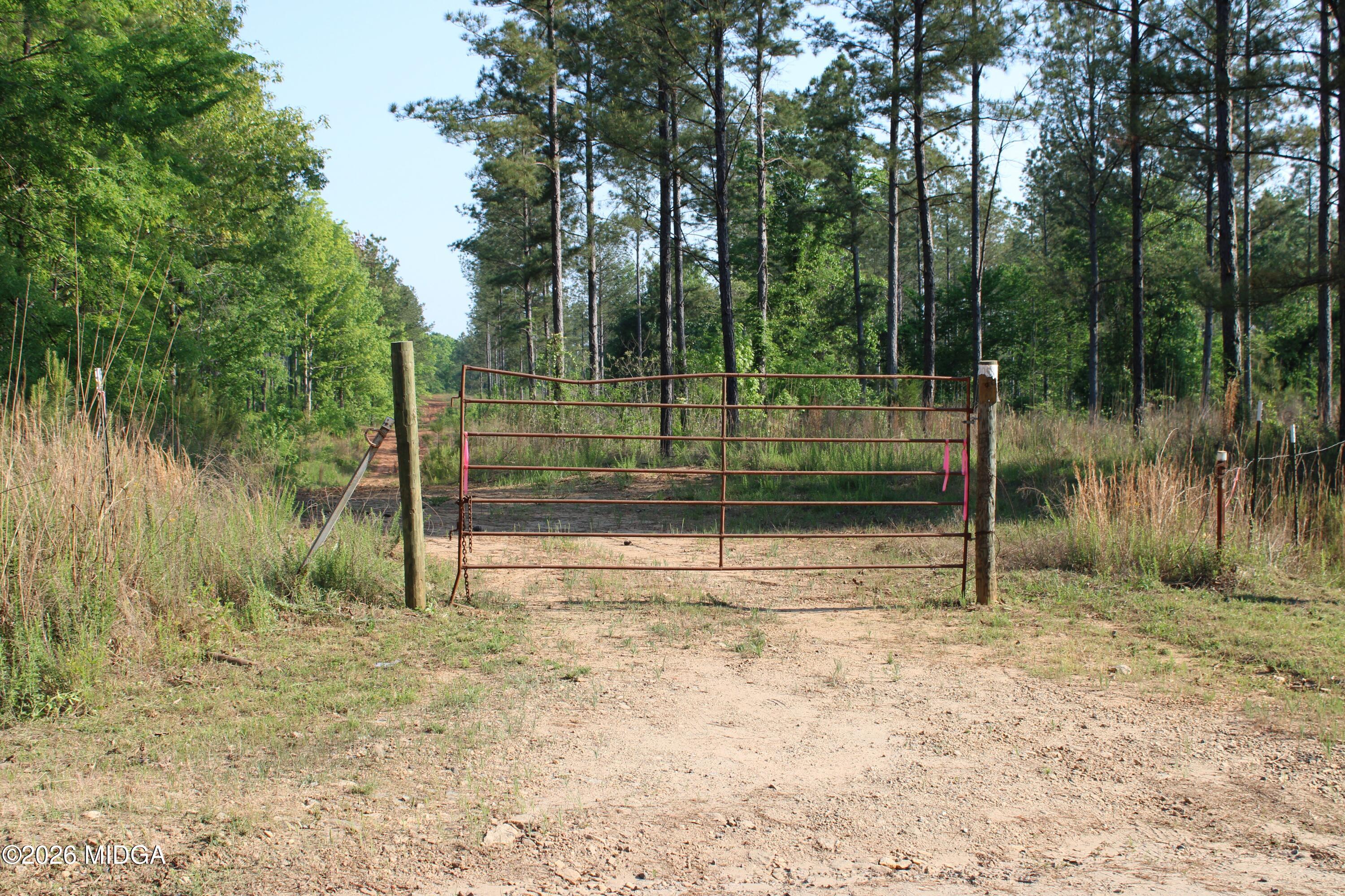 0 Watson Road East, Unit 7 Forsyth, GA 31029 - Photo 9 of 10 IMG_0787