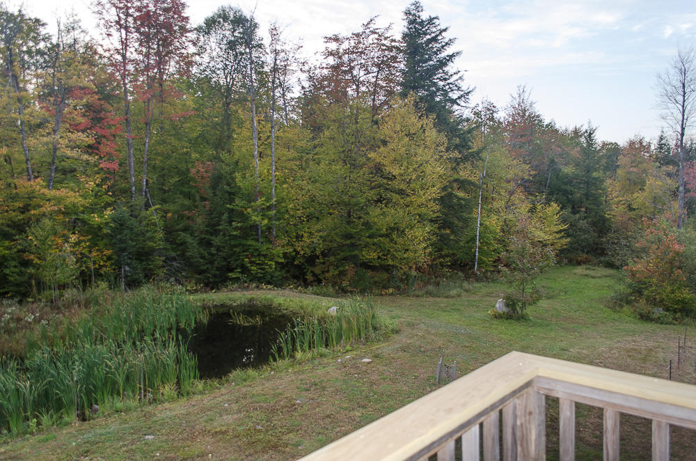 523 Streaked Mountain Road Buckfield, ME 04220 - Photo 8 of 112 Yard