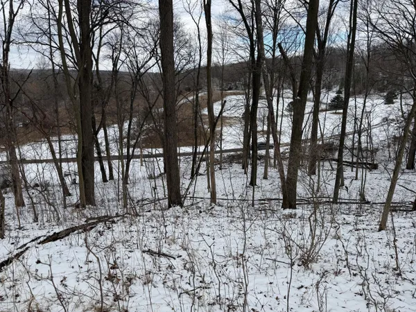 $19,900 | Lot 65 Hosford Drive, Ionia, MI 48846