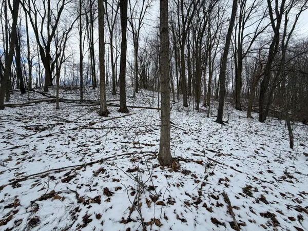 $19,900 | Lot 65 Hosford Drive, Ionia, MI 48846