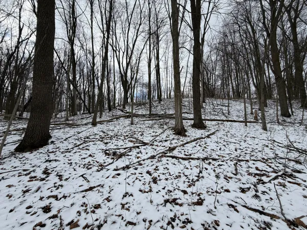 $19,900 | Lot 65 Hosford Drive, Ionia, MI 48846